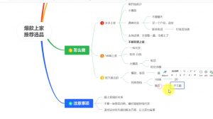 苏博士·淘宝精细化铺货运营陪跑(部分更新至2025)-梦想波浪