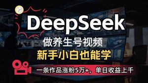 小白用DeepSeek做养生号,一条作品涨粉5万+,单日收益上千-梦想波浪
