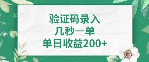验证码录入，几秒一单，单日收益200+-梦想波浪