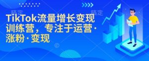 TikTok流量增长变现训练营，专注于运营·涨粉·变现-梦想波浪
