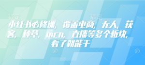 小红书必修课，覆盖电商，无人，获客，种草，mcn，直播等多个板块，看了就能干-梦想波浪