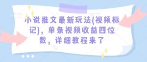 小说推文最新玩法(视频标记),单条视频收益四位数,详细教程来了-梦想波浪