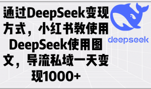通过DeepSeek变现方式，小红书教使用DeepSeek图文，导流私域一天变现1000+-梦想波浪