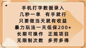 手机打字数据录入,几秒一单,有手就行,只要做当天就有收益,暴力玩法一天低保2张-梦想波浪