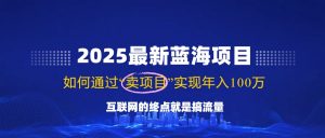 2025最新蓝海项目，零门槛轻松复制，月入10万+，新手也能操作！-梦想波浪