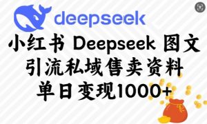 小红书Deepseek图文引流私域售卖资料,单日变现多张-梦想波浪