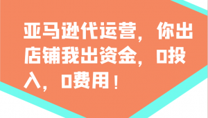 亚马逊代运营，你出店铺我出资金，0投入，0费用，无责任每天300分红，赢亏我承担-梦想波浪