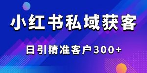 2025最新小红书平台引流获客截流自热玩法讲解,日引精准客户300+-梦想波浪
