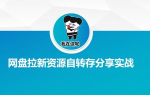网盘拉新资源自动转存分享实战-梦想波浪