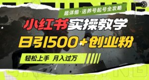2月小红书最新日引500+创业粉实操教学【超详细】小白轻松上手,月入1W+,附小红书养号起号SOP-梦想波浪