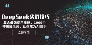 DeepSeek实战技巧：集合最强使用攻略，1000个神级提示词，让你成为AI高手-梦想波浪