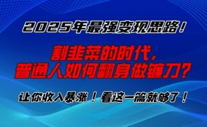 2025年最强变现思路，割韭菜的时代， 普通人如何翻身做镰刀？【揭秘】-梦想波浪