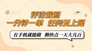 评论截图,一分钟一单,有手机就能做,任务无上限,轻松一天大几百-梦想波浪