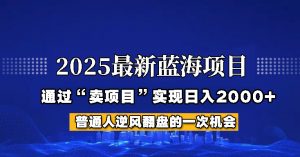2025年蓝海项目,如何通过“网创项目”日入2000+-梦想波浪