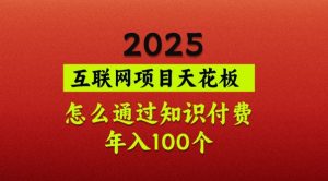 2025项目天花板,普通怎么通过知识付费翻身,年入百个【揭秘】-梦想波浪