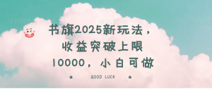 书旗2025新玩法，收益突破上限10000，小白可做-梦想波浪