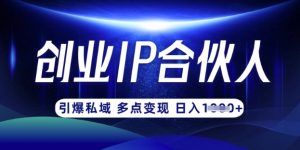 云帆·创业ip合伙人打造3.0,从0到1教你做网创,实现月入过W-梦想波浪