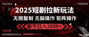 2025短剧拉新玩法,无需注册登录,无限0撸,无脑批量操作日入2000+-梦想波浪