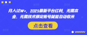 月入过W+，2025最新平台红利，无需本金、无需技术绑定账号就能自动收米-梦想波浪