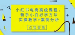 小红书电商高级课程,新手小白必学方法,实操教学+案例分析-梦想波浪