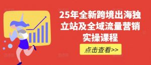 25年全新跨境出海独立站及全域流量营销实操课程，跨境电商独立站TIKTOK全域营销普货特货玩法大全-梦想波浪
