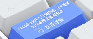 DeepSeek从入门到精通:7大场景 50大案例 全套提示词【文档】-梦想波浪