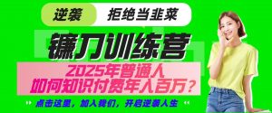 镰刀训练营超级IP合伙人,25年普通人如何通过“知识付费”实现逆袭-梦想波浪