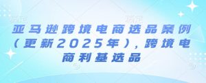 亚马逊跨境电商选品案例(更新2025年3月),跨境电商利基选品-梦想波浪
