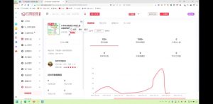 2025小红书虚拟电商实战课-梦想波浪