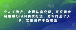 个人IP资产,小团队高变现,互联网全链路赚QIAN实战打法,助你打造个人IP,实现资产不断增值-梦想波浪