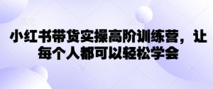 小红书带货实操高阶训练营,让每个人都可以轻松学会-梦想波浪