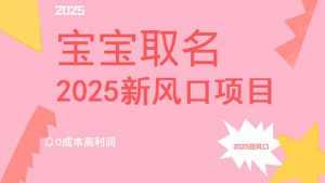 2025新风口项目宝宝取名,0成本高利润,附保姆级教程,月入过万不是梦-梦想波浪