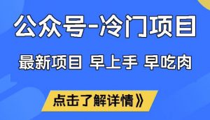 公众号冷门赛道，早上手早吃肉，单月轻松稳定变现1W【揭秘】-梦想波浪