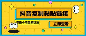 零撸小项目,新玩法,抖音复制链接0.07一条,20秒一条,无限制。-梦想波浪