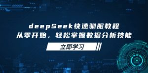 deepSeek快速驯服教程，从零开始，轻松掌握数据分析技能-梦想波浪