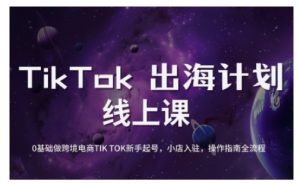 TikTok跨境电商新手起号与运营全攻略,0基础做跨境电商TIKTOK新手起号,小店入驻,操作指南全流程-梦想波浪