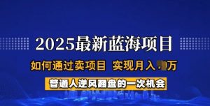 2025蓝海项目,普通人如何通过卖项目,实现月入过W,全过程【揭秘】-梦想波浪