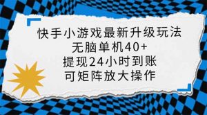 快手小游戏最新版升级玩法,新风口,无脑单机日入40+,可批量放大,小...-梦想波浪