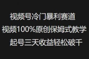 视频号冷门暴利赛道视频100%原创保姆式教学起号三天收益轻松破千-梦想波浪