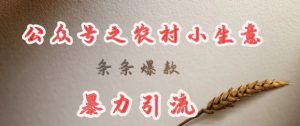 deepseek写农村小项目,条条爆款,暴力引流-梦想波浪