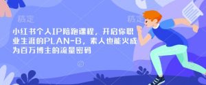 小红书个人IP陪跑课程，开启你职业生涯的PLAN-B，素人也能火成为百万博主的流量密码-梦想波浪