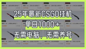 25年最新CSGO挂机系统，单日1000+，无需电脑，无需养号，0基础可上手-梦想波浪