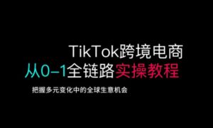 TikTok跨境电商从0-1全链路全方位实操教程,把握多元变化中的全球生意机会-梦想波浪