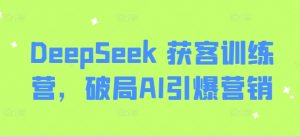 DeepSeek 获客训练营,破局AI引爆营销-梦想波浪
