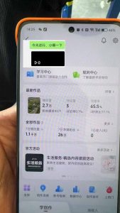 抖音暴力涨粉技术:一天轻松1-10万粉,技术不确定真实性,自测-梦想波浪