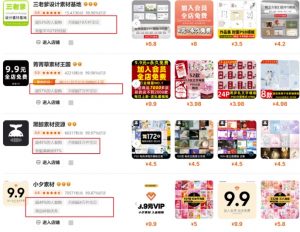 0成本虚拟项目实战手把手教你落地，单店月入5k-梦想波浪