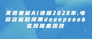 天诺老吴AI课程2025年，电商企业如何用deeepseek实现降本提效-梦想波浪
