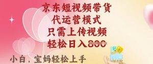 京东短视频带货,2025翻身项目,只需上传视频,单月稳定变现8k+【揭秘】-梦想波浪