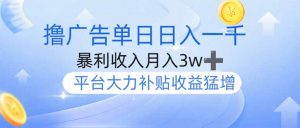 撸广告躺赚,单设备日入1000+,月入3w+,今年最强撸广告上线-梦想波浪