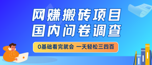 网赚搬砖项目，国内问卷调查，0基础看完就会 一天轻松三四百，靠谱副业...-梦想波浪